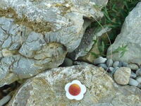 Perlmuttblume mit Filzkugel, L&auml;nge 45 cm